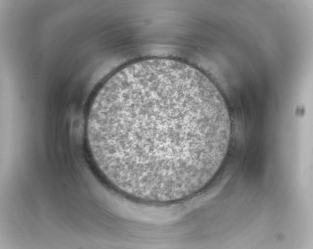 X0000090470016200708102143