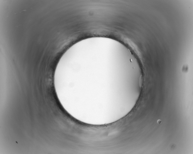 X0000090470017200708102143