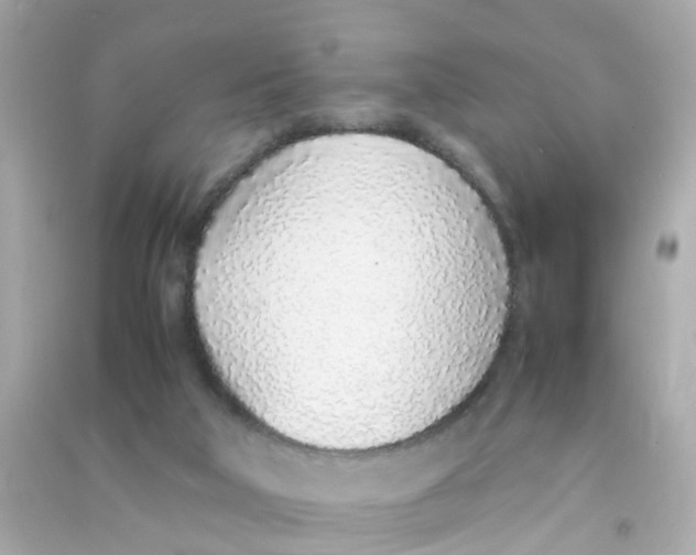 X0000090470018200708102143