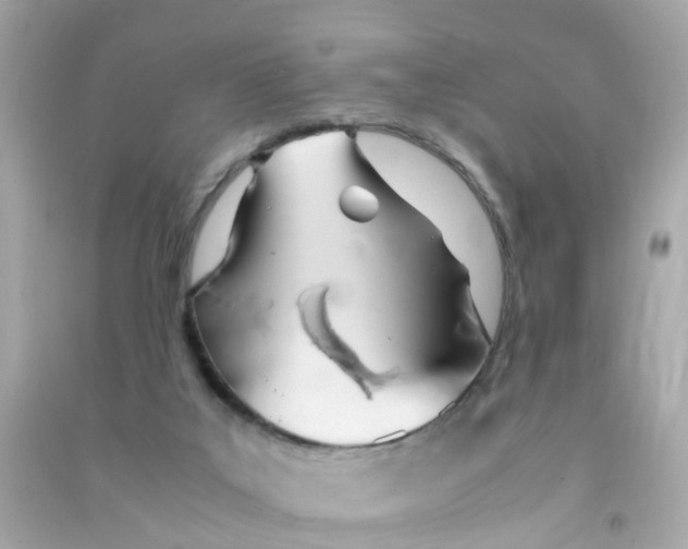 X0000090470019200708102143