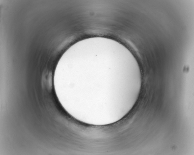 X0000090470020200708102143