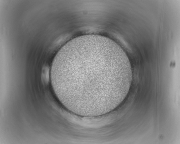 X0000090470022200708102143