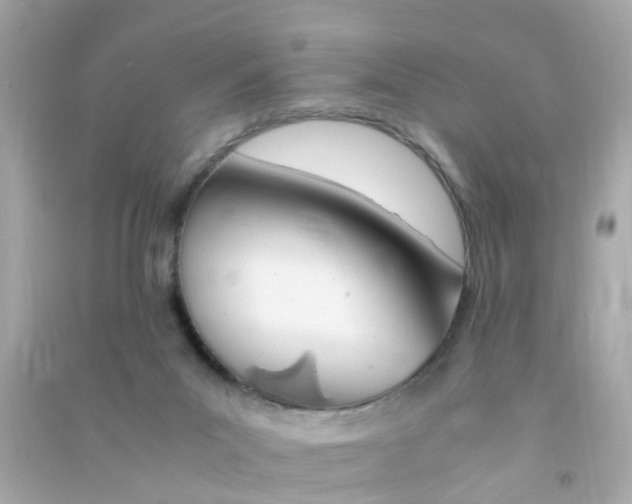 X0000090470023200708102143