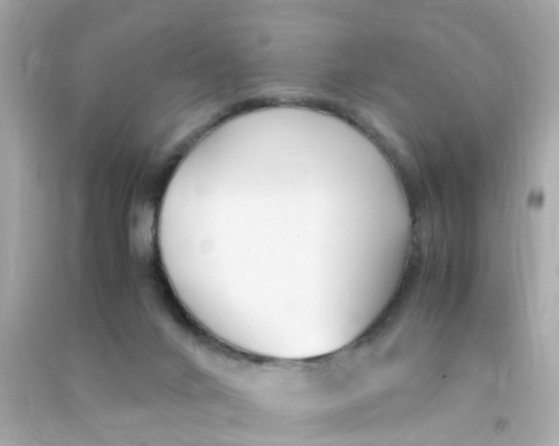 X0000090470024200708102143