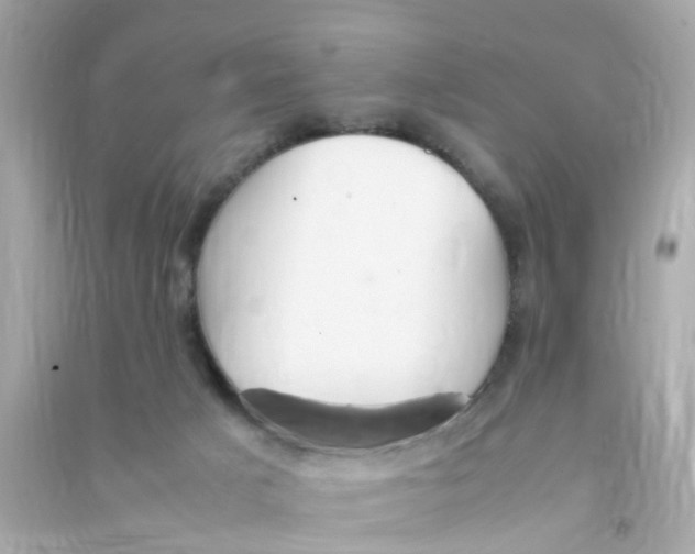 X0000090470025200708102143