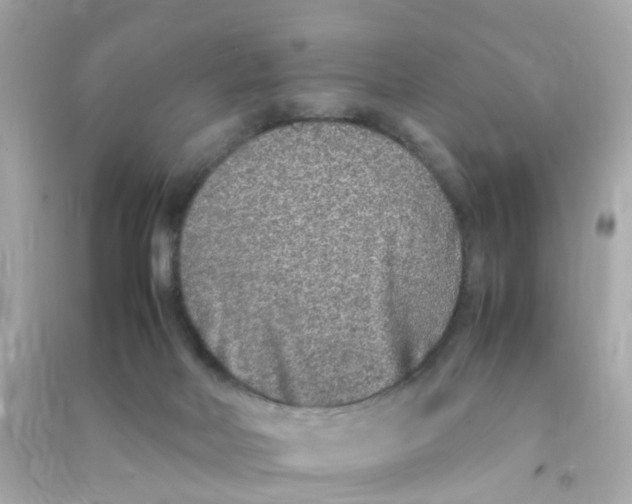 X0000090470026200708102143