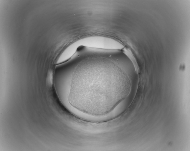 X0000090470027200708102143