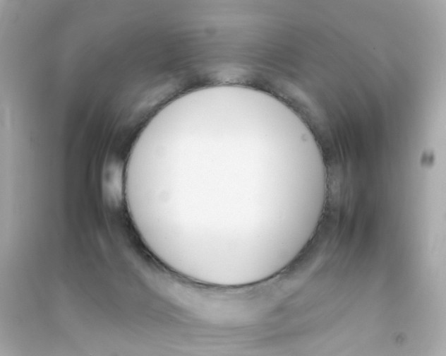 X0000090470028200708102143