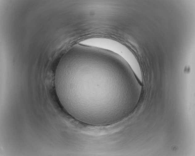 X0000090470029200708102143