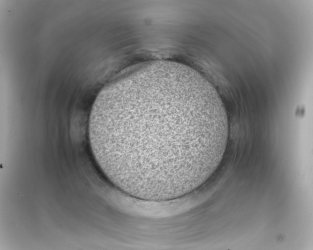 X0000090470030200708102143