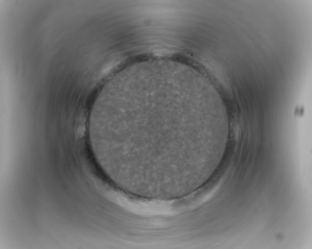 X0000090470032200708102143