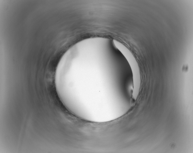 X0000090470033200708102143