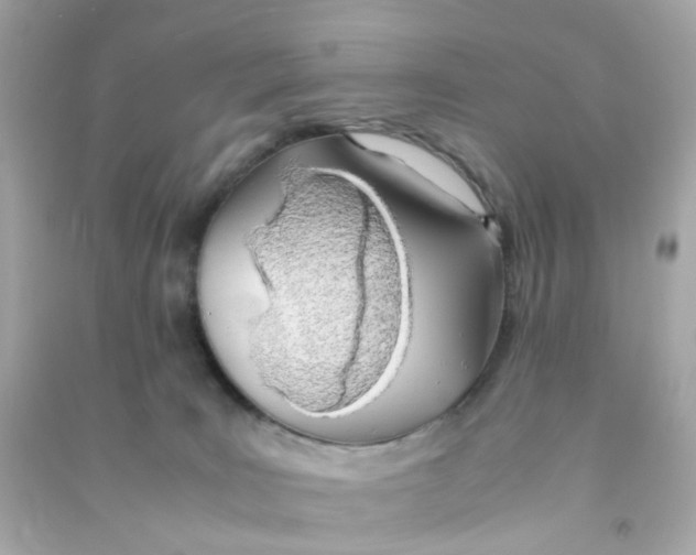 X0000090470035200708102143