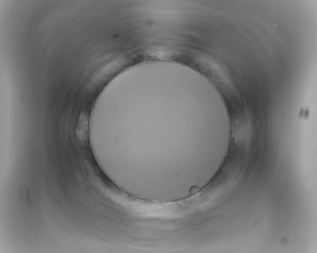 X0000090470036200708102143