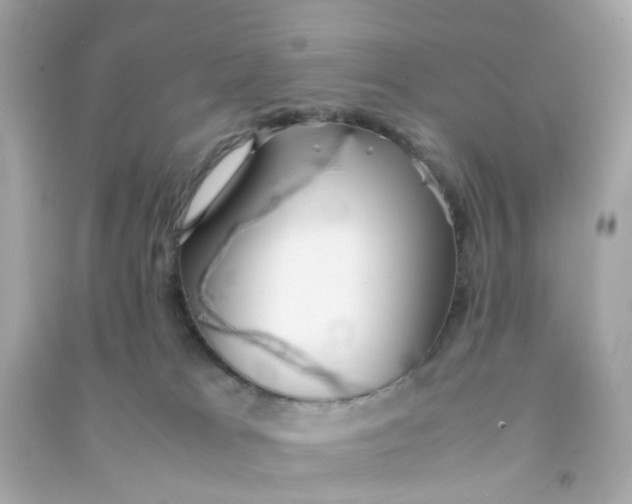 X0000090470037200708102143