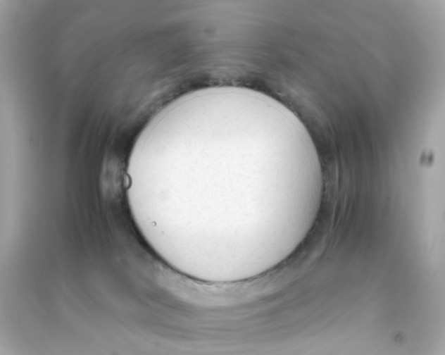 X0000090470038200708102143