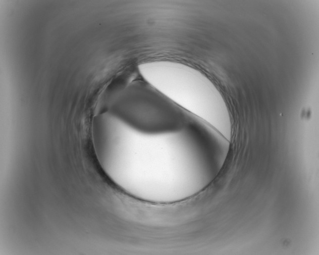 X0000090470039200708102143