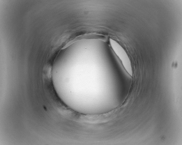 X0000090470041200708102143