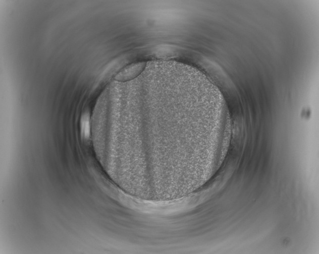 X0000090470046200708102143