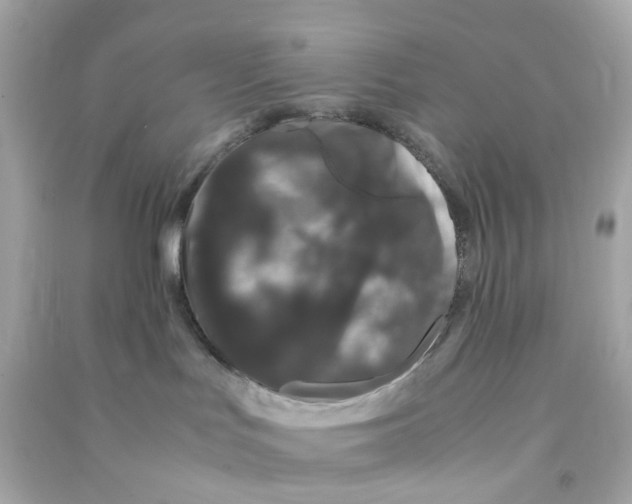 X0000090470047200708102143