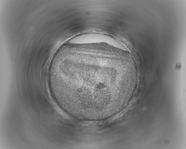 X0000090470049200708102142