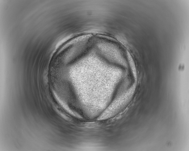 X0000090470050200708102142