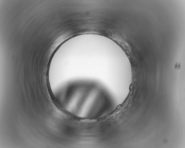 X0000090470051200708102142