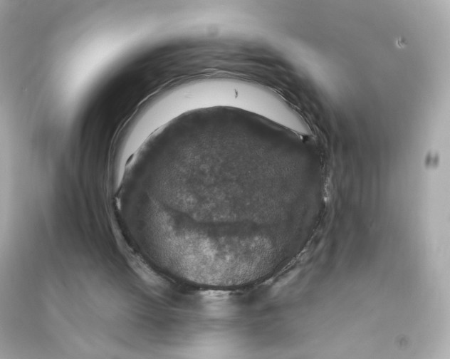 X0000090470052200708102142