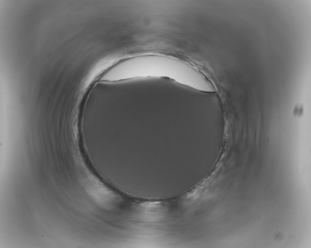 X0000090470054200708102142