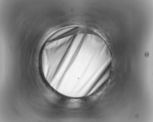 X0000090470055200708102142