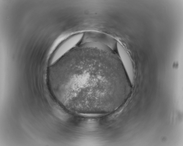 X0000090470056200708102142