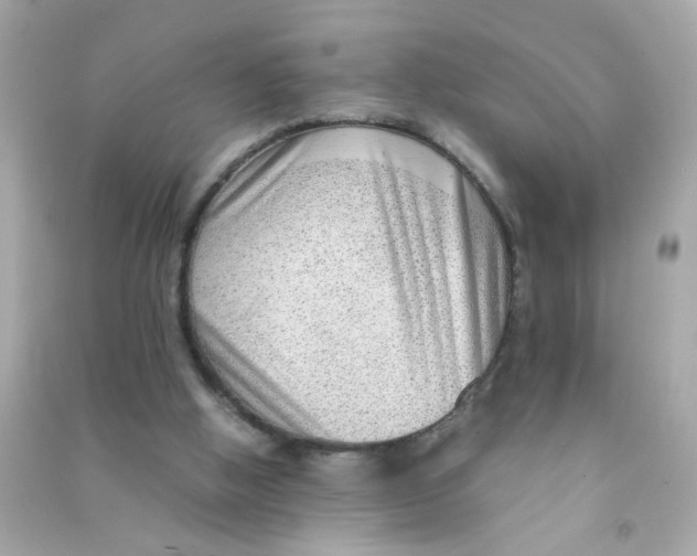 X0000090470058200708102142