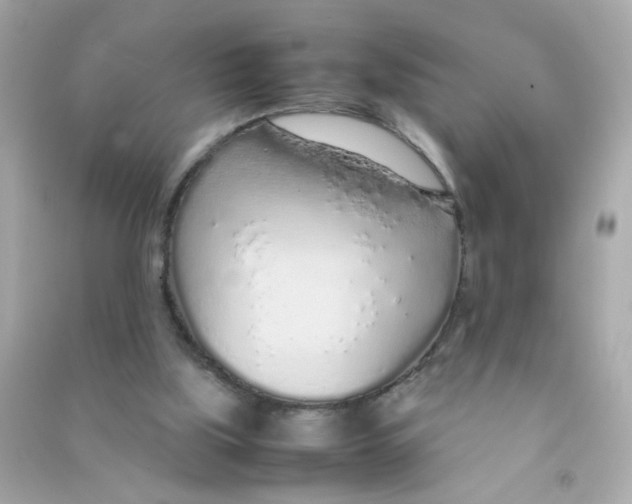 X0000090470059200708102142