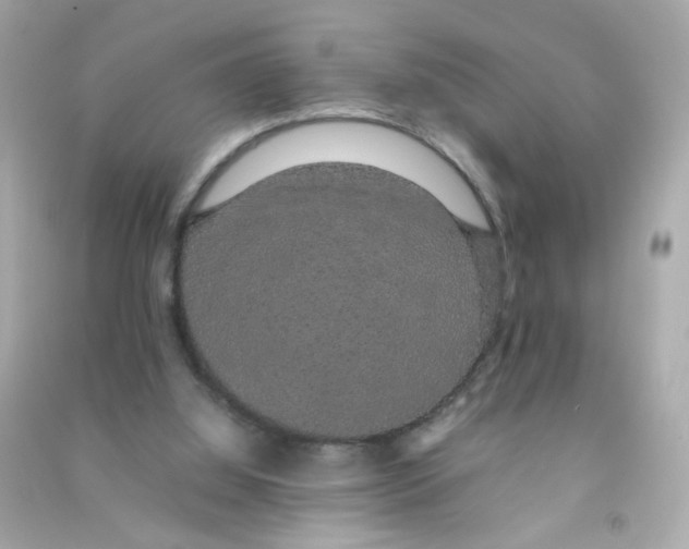 X0000090470060200708102142