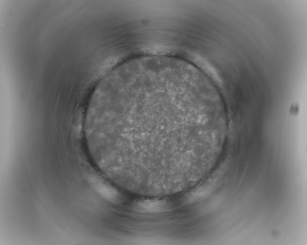 X0000090470065200708102143