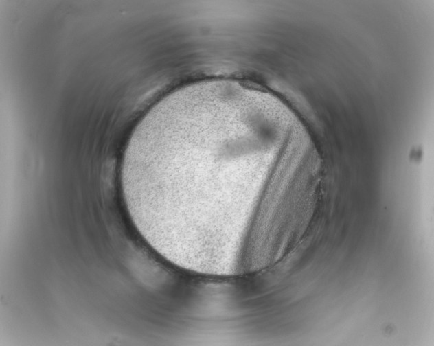 X0000090470066200708102143