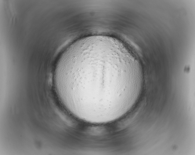 X0000090470067200708102143