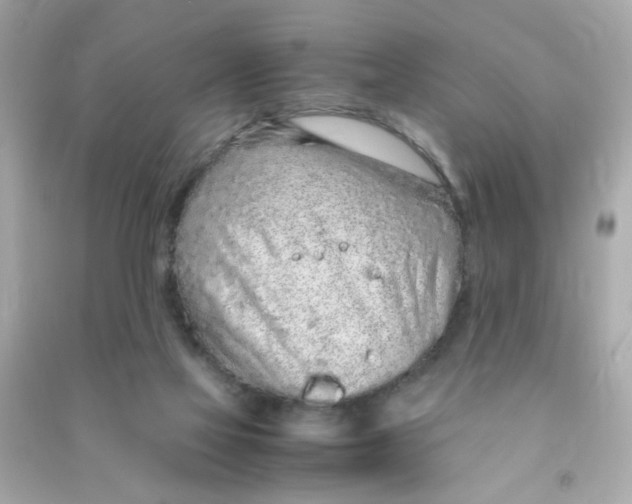 X0000090470069200708102143