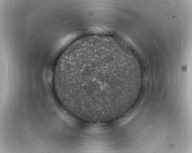 X0000090470072200708102143