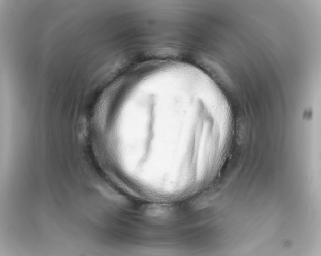 X0000090470077200708102143