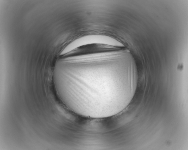 X0000090470078200708102143