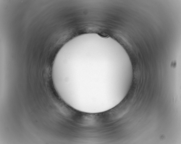 X0000090470079200708102143