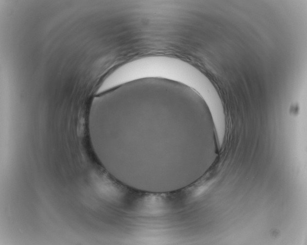 X0000090470080200708102143