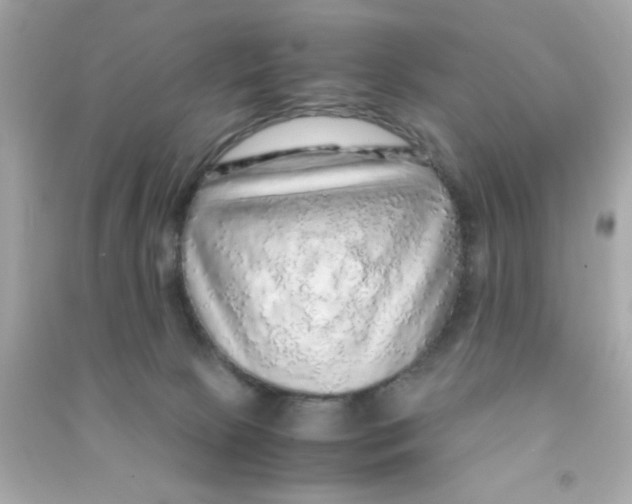 X0000090470081200708102143