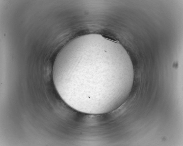 X0000090470082200708102143