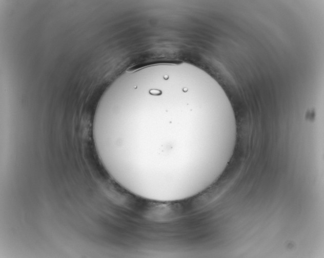 X0000090470083200708102143