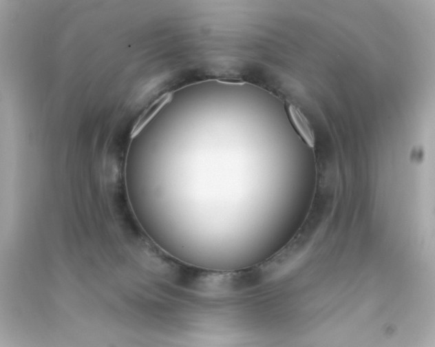 X0000090470084200708102143