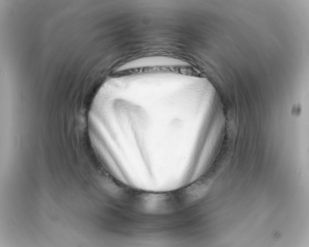 X0000090470085200708102143