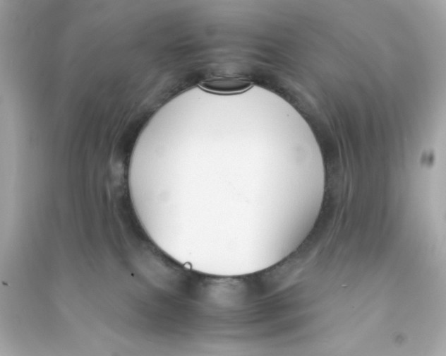 X0000090470087200708102143