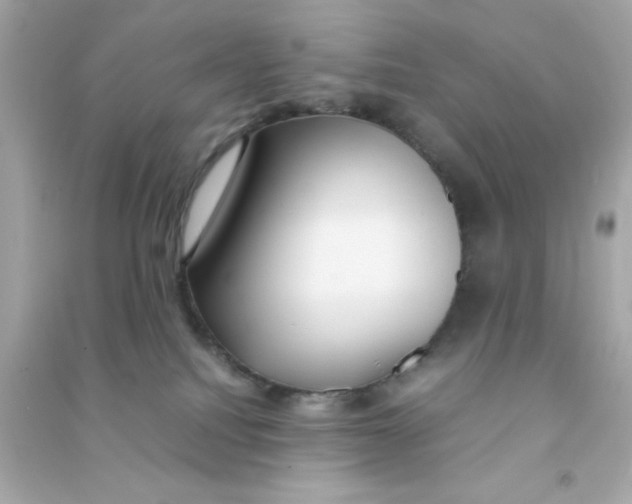 X0000090470088200708102143